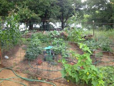 Off-Grid, Organic and Old School Image